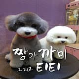 짱아까미
